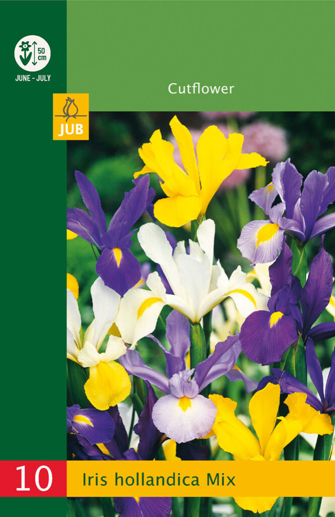 X10 Iris Hollandica Mix - Budget
