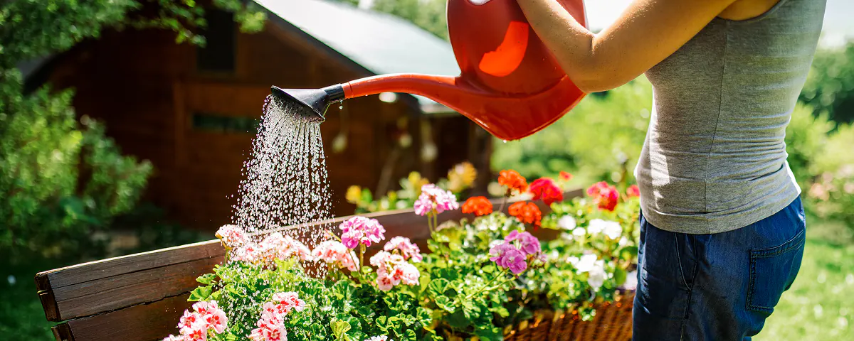 Que faire dans le jardin : juin