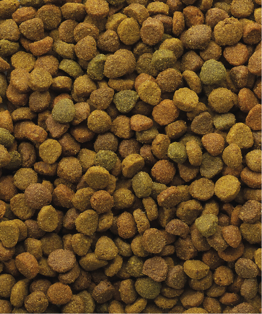Variety 4kg Variety 4kg