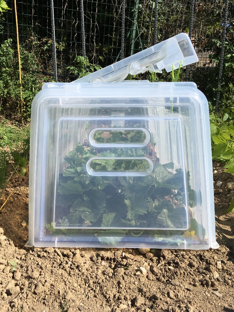 Embouts x2 tunnel Modul'o 60