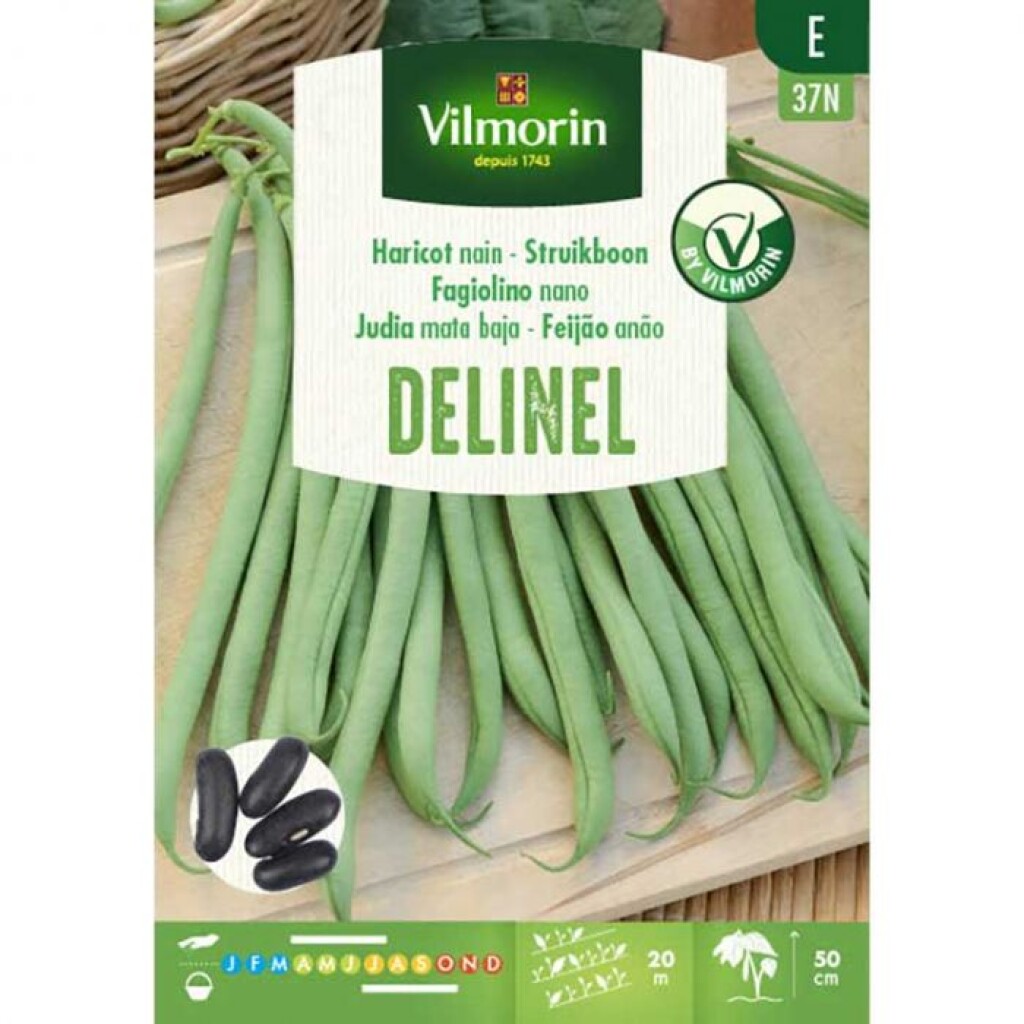 Haricot Nain à Filet Sans Fil Delinel 125g