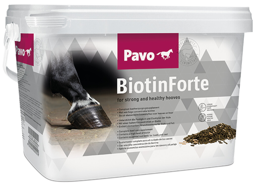 BiotinForte 3kg