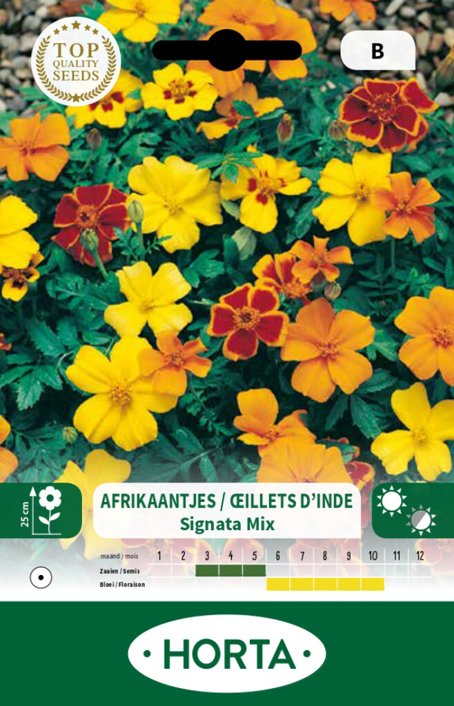 Tagetes Signata gemengd