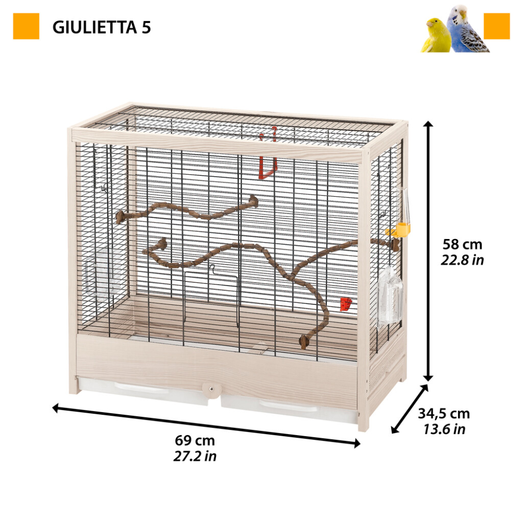 Giuletta 5 noir