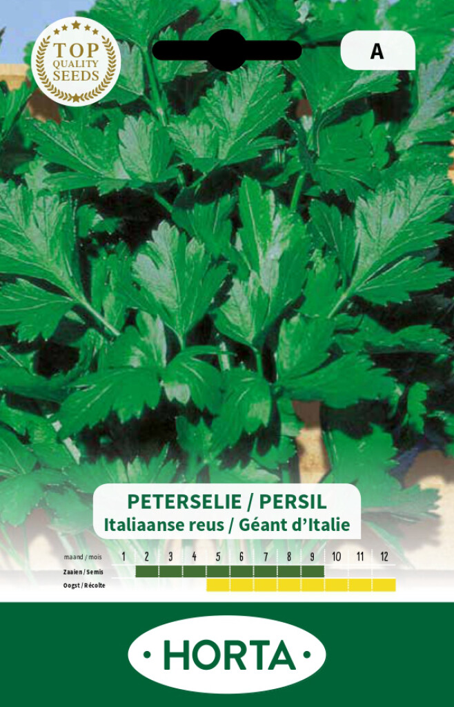 Peterselie Gigante d'Italia