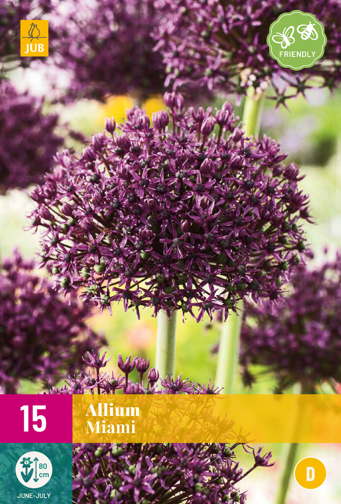 X 15 Allium Miami