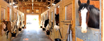 Ecurie pour chevaux