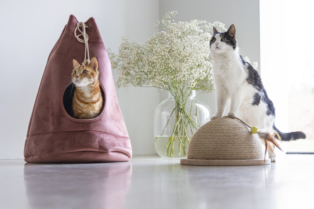 Maison chats Vilar rose Maison chats Vilar rose