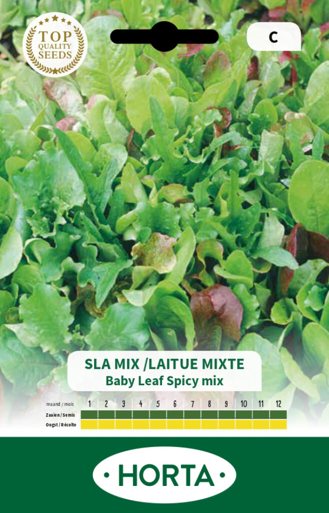 Mélange Babyleaf Spicy mix