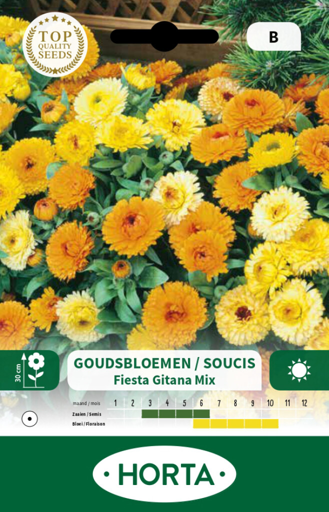 Calendula (goudsbloem) Fiesta Gitana gemengd Calendula (goudsbloem) Fiesta Gitana gemengd