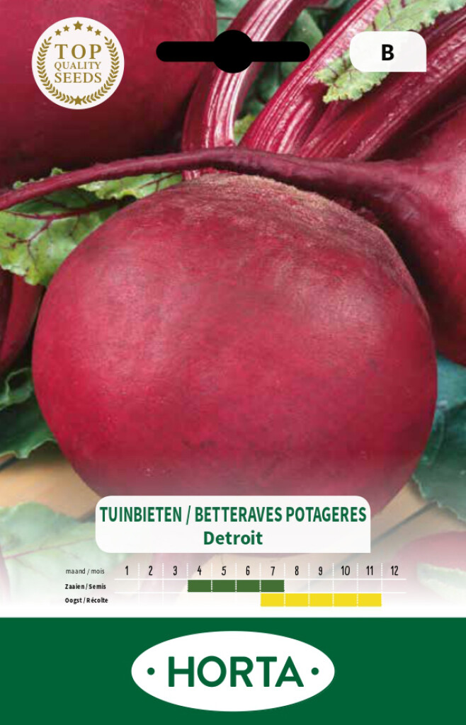 Tuinbiet Detroit