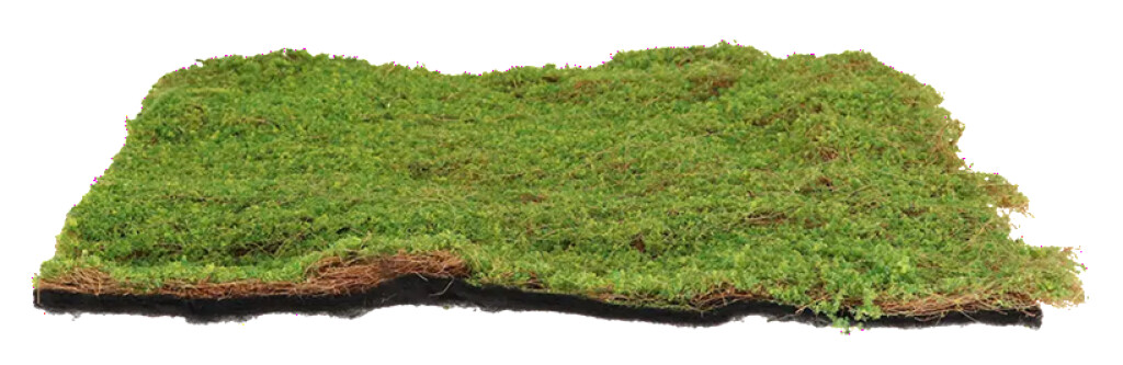 Mousse artificielle L