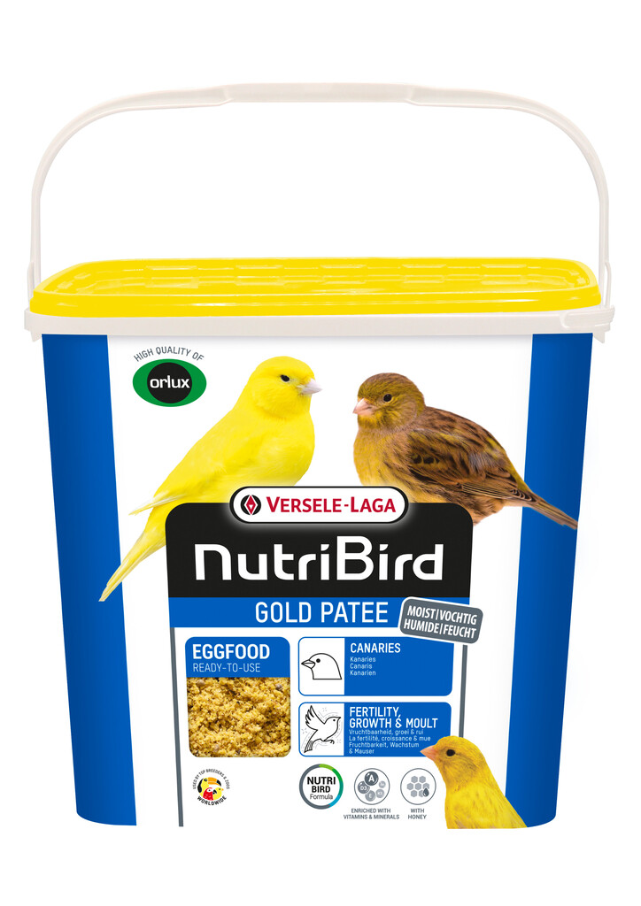 Gold Patee kanaries 5kg Gold Patee kanaries 5kg