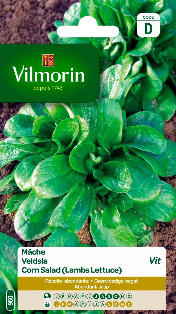 Mâche Vit Mâche Vit