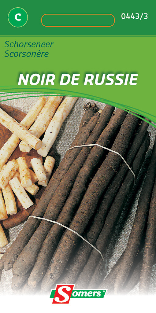 Scorsonère Noir De Russie Scorsonère Noir De Russie