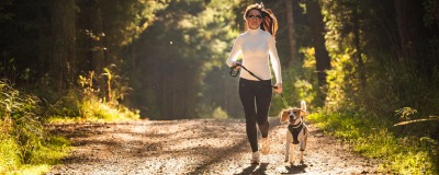 Balade avec le chien