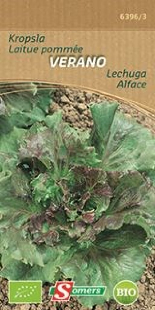 Be-Bio-02 Laitue pommée Verano