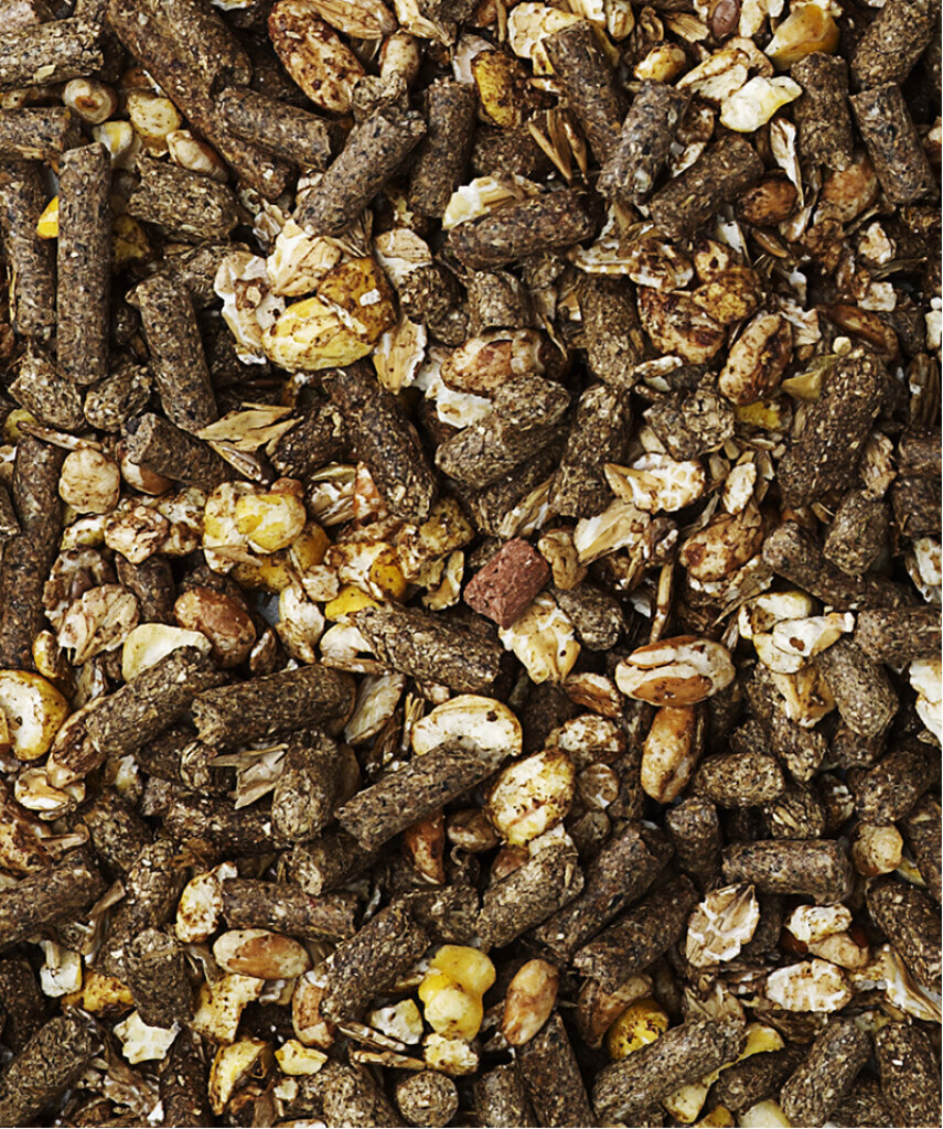 Special Care - Pianissimo 20kg Special Care - Pianissimo 20kg