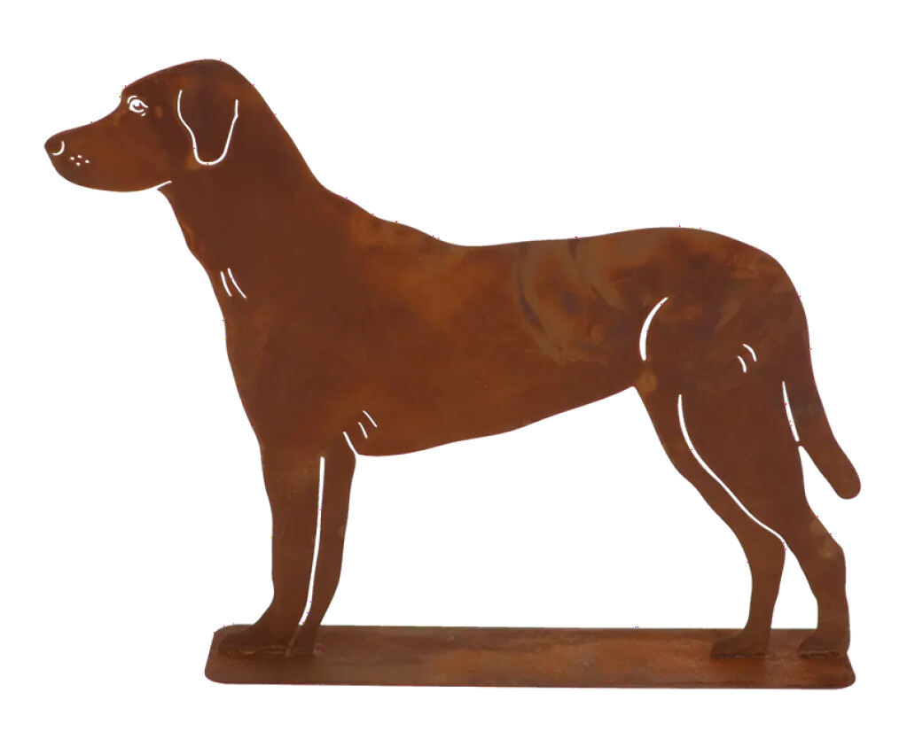 Chien rouillé debout