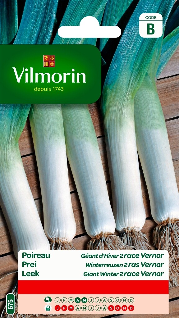 Poireau Géant D'Hiver 2 race Vernor Poireau Géant D'Hiver 2 race Vernor