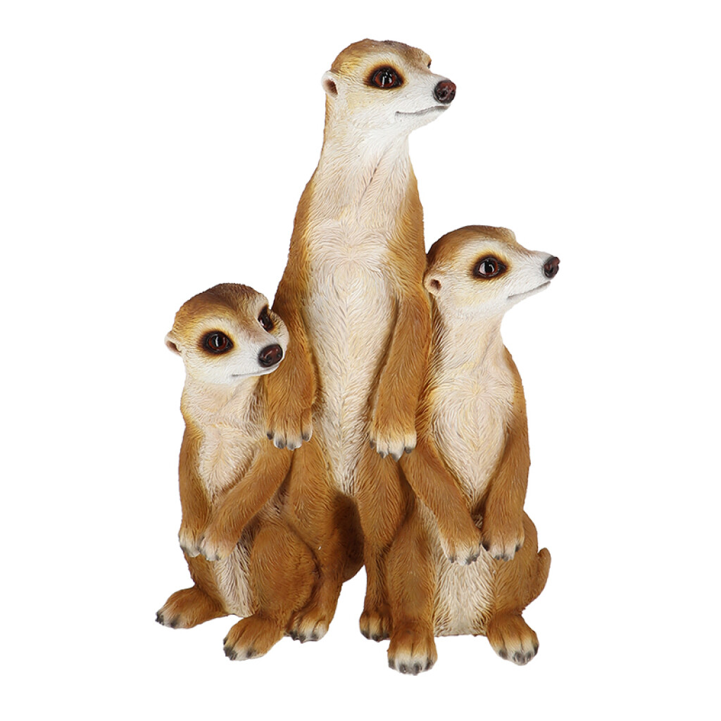 Suricates