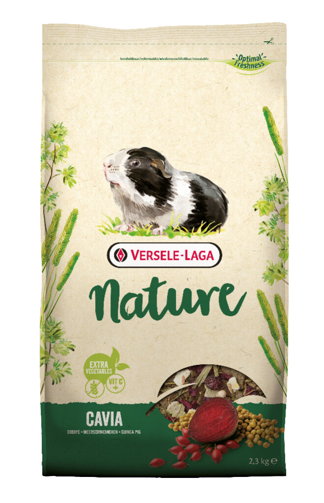 Cavia 2,3kg