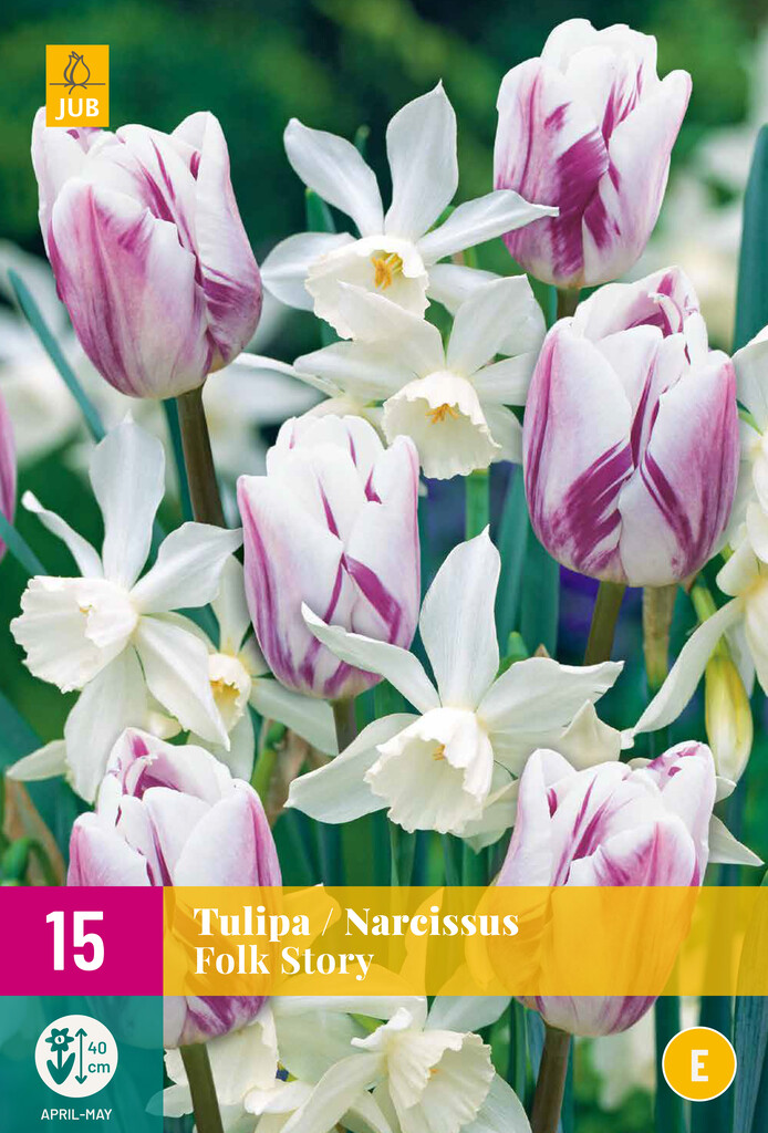 X 15 Tulipa / Narcissus Folk Story