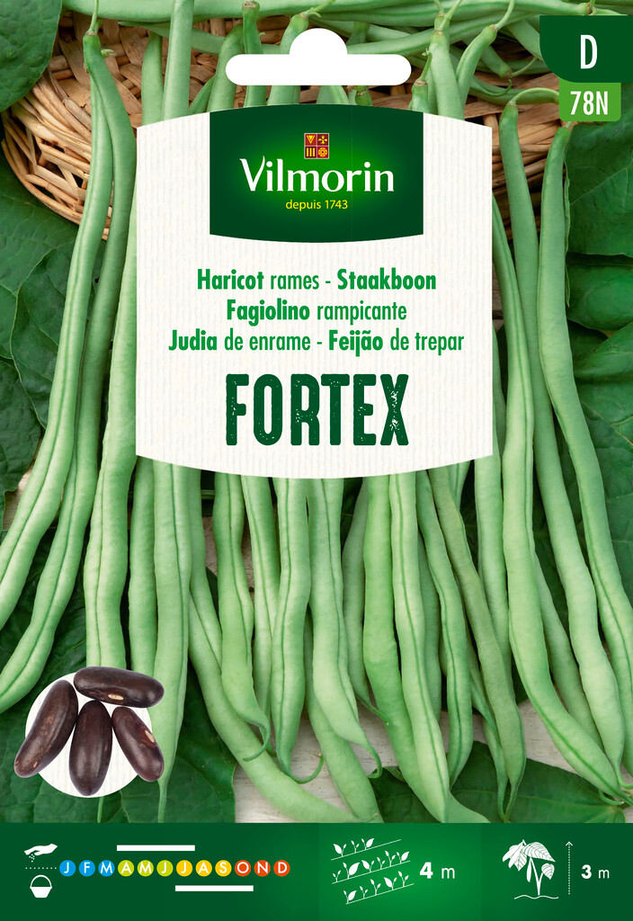 Semences de haricot à rames Fortex 20g