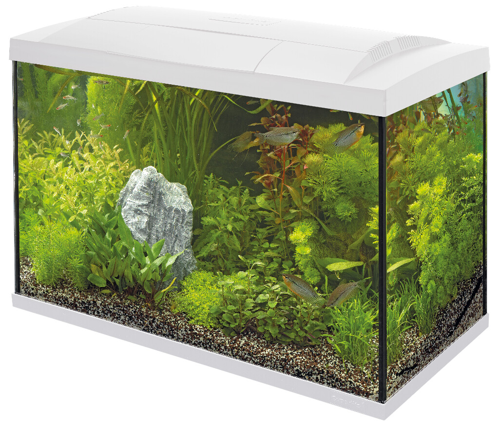 Start Aquarium 70 tropical kit, wit