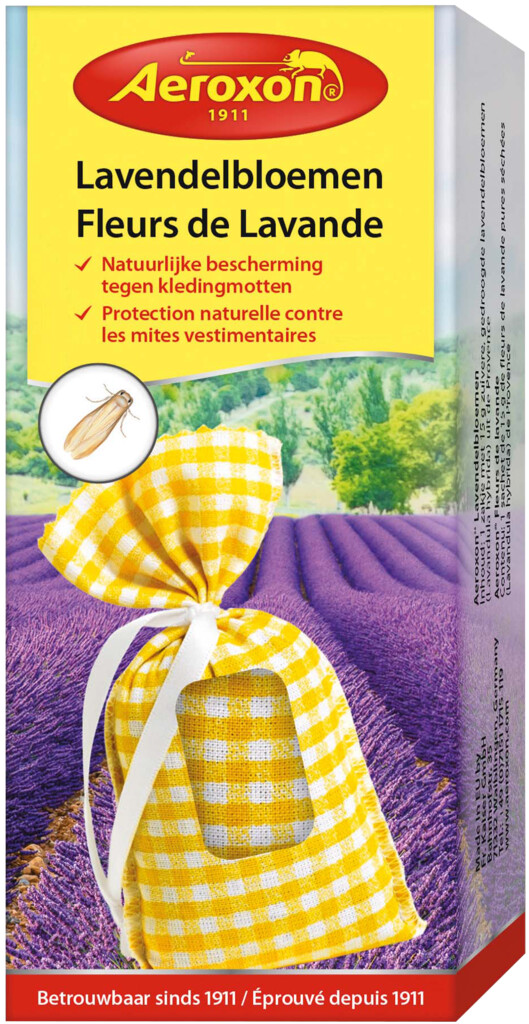 Lavendelbloemen