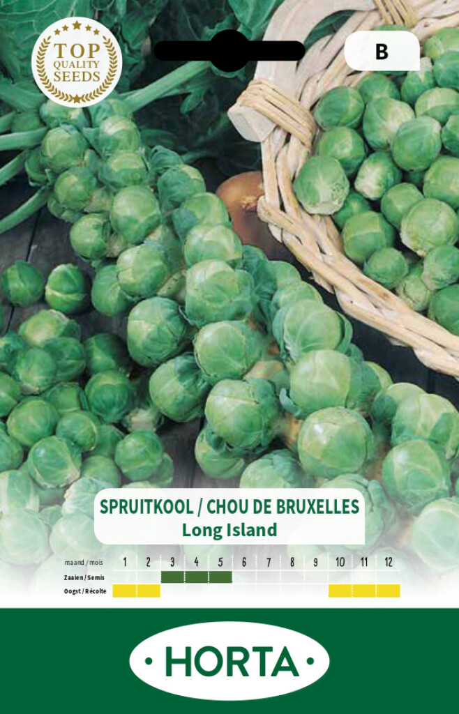 Spruitkool Long Island