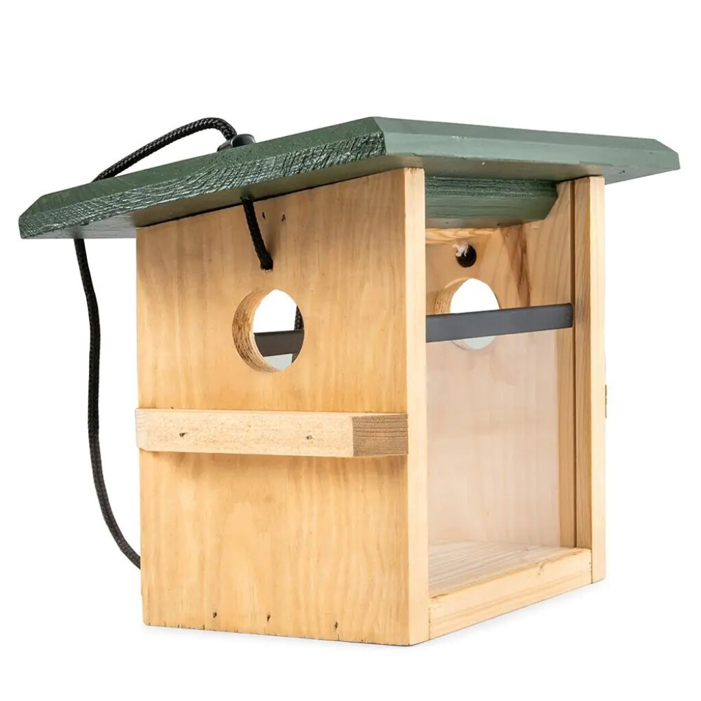 Mangeoire à oiseaux suspendue Eindhoven