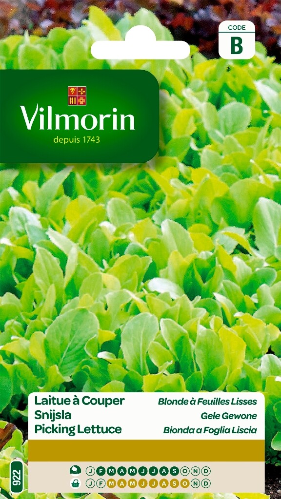Laitue à couper blonde à feuilles lisses