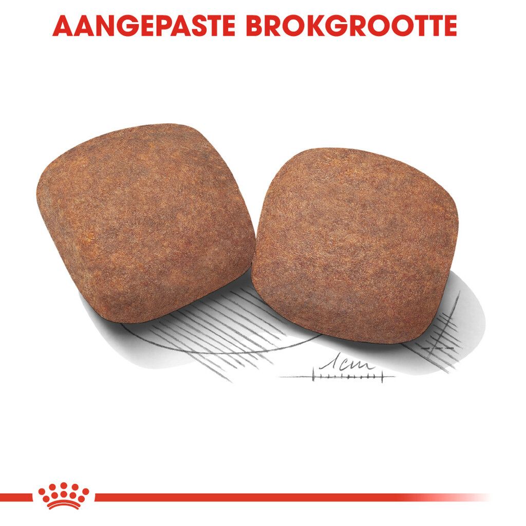 SHN Giant Adult 15kg SHN Giant Adult 15kg