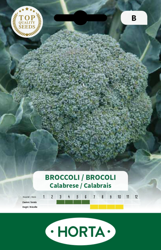 Kool Broccoli groene Calabrese