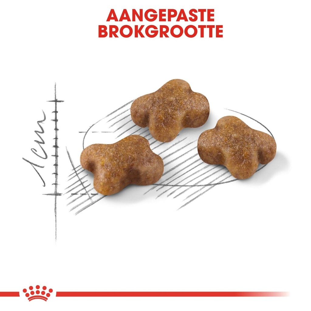 FHN Kitten 2kg FHN Kitten 400g