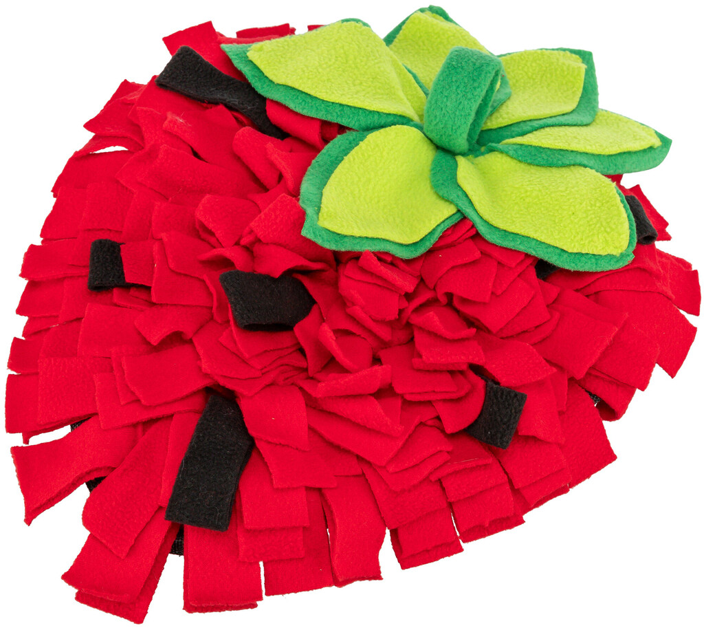 Snuffelmat aardbei, rood