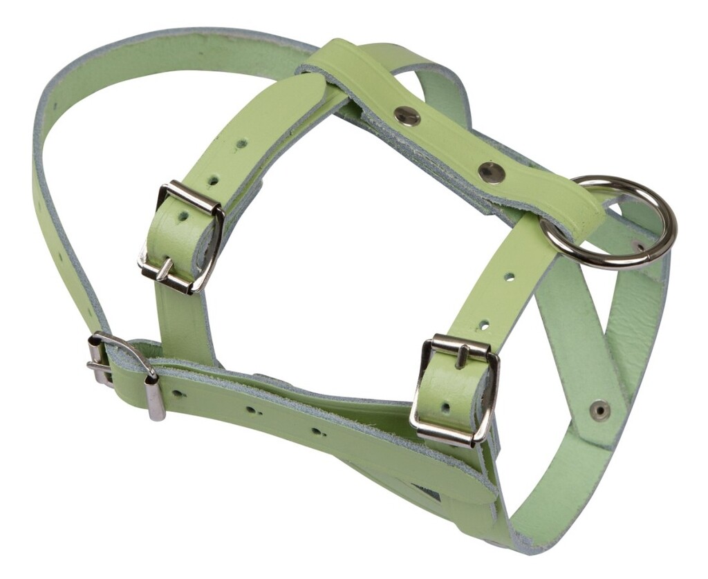 Licol mouton cuir  Licol mouton cuir