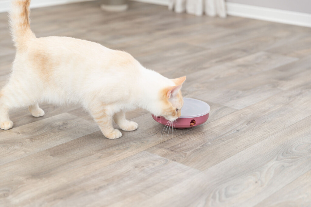 Cat Activity Rocking maze plastique ø 18cm