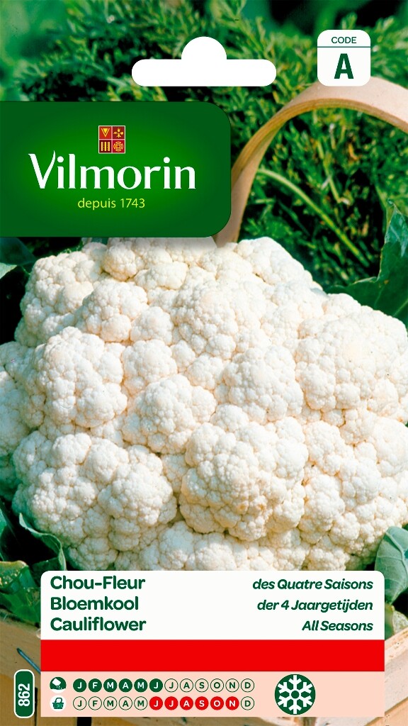 Bloemkool Wonder Der 4 Jaargetijden
