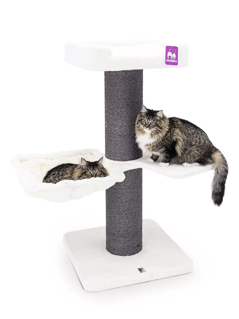 Maine Coon 117 gebroken wit
