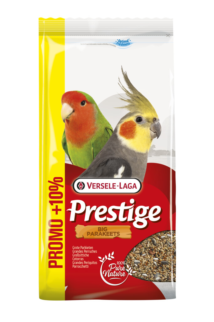 Grandes perruches Promo 4kg + 400g offert 4,4kg Grandes perruches Promo 4kg + 400g offert 4,4kg