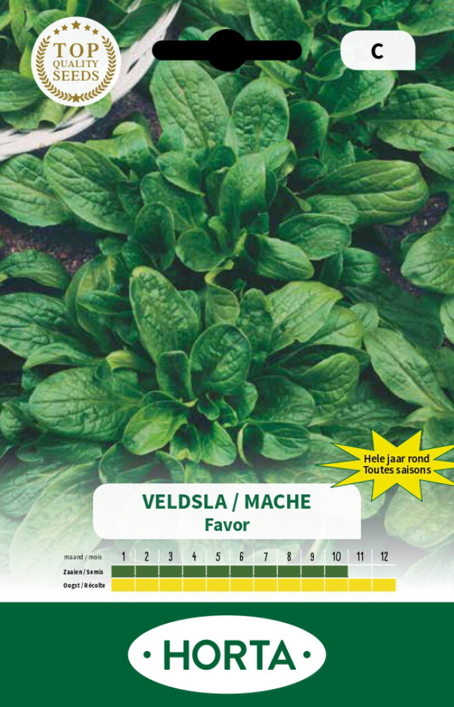 Mâche de toutes saisons Favor