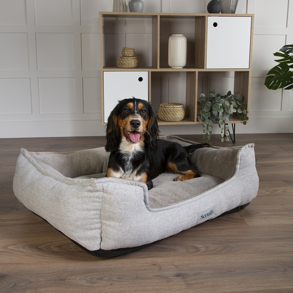 Harvard Memory Foam Lit Box Orthopédique Gris Perle XL