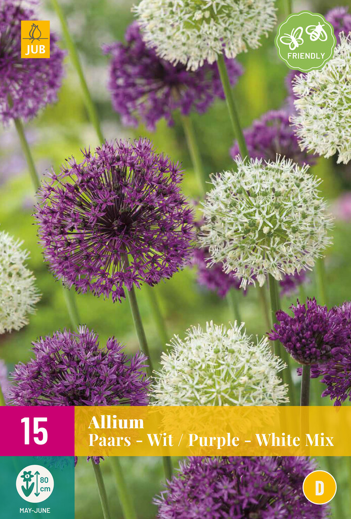 X 15 Allium Violet-Blanc Mix