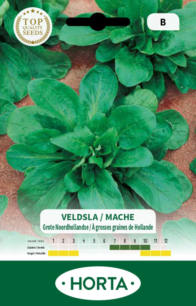 Veldsla Grote Noordhollandse