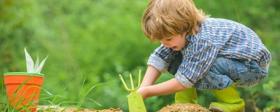 Wat te doen in de tuin: mei Wat te doen in de tuin: mei