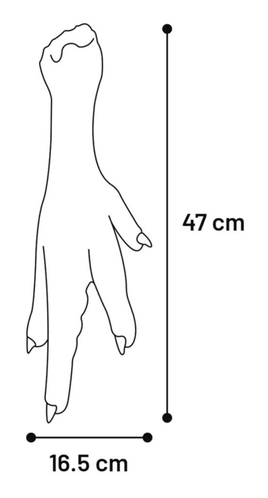 HS Latex Nika Patte Poule 47cm HS Latex Nika Patte Poule 47cm