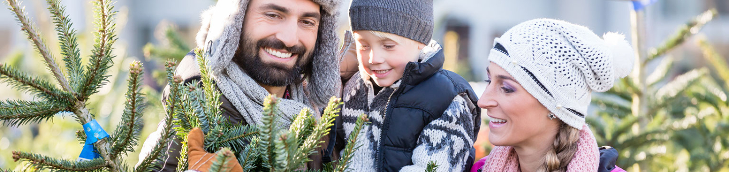 Kerstbomen Kerstbomen