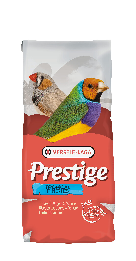 Tropische vogels 20kg